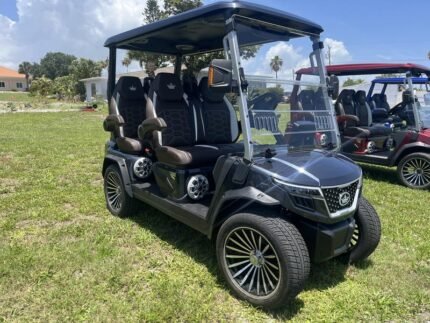 2025 Evolution D-Max GT4 Arctic Gray | 4-Seater with 24-Speaker Sound - Golf Carts Nation | Street-Legal LSV & Custom Carts