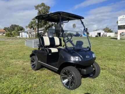 2025 Evolution Turfman 200 for Sale | Electric Utility Cart with Cargo Box - Golf Carts Nation | Street-Legal LSV & Custom Carts