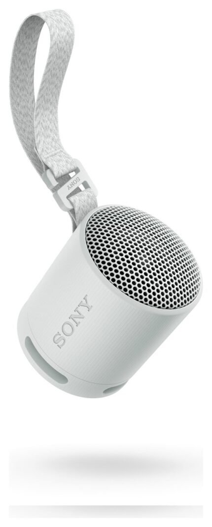 Sony SRS-XB100 Bluetooth Portable Speaker - Grey