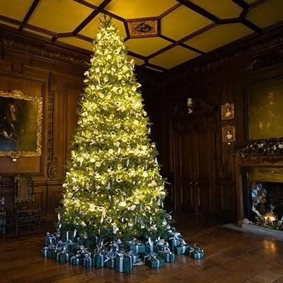14 ft Grand Commercial Christmas Tree – Grand Commercial Artificial Christmas Tree for Malls & Lobbies